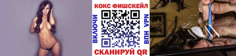 Купить закладки  Верхний Тагил  Кокаин FishScale 