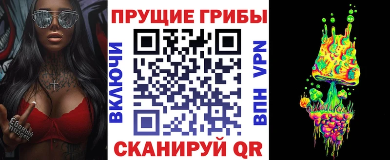 Купить закладки  Верхний Тагил  Псилоцибиновые грибы Cubensis 